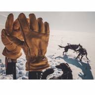 Перчатки Crud Gjora gloves Elk Skin Thinsulate Lined - Перчатки Crud Gjora gloves Elk Skin Thinsulate Lined
