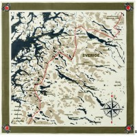 Шарф Swedish Classic Map Scarf